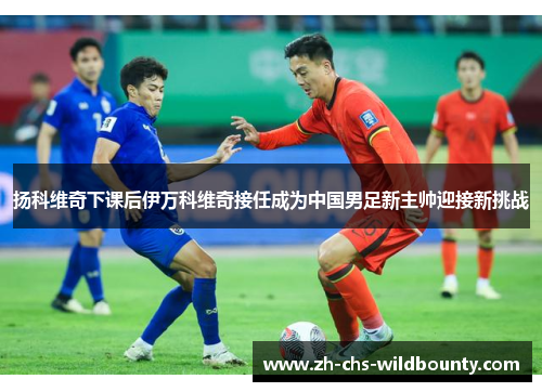 扬科维奇下课后伊万科维奇接任成为中国男足新主帅迎接新挑战