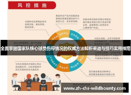 全面掌握国家队核心球员伤停情况的权威方法解析渠道与技巧实用指南