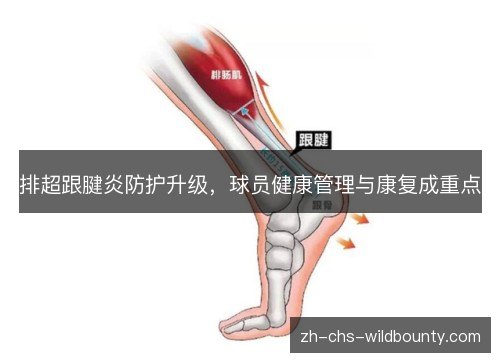 排超跟腱炎防护升级，球员健康管理与康复成重点